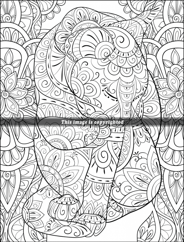 Mandala: An Adult Coloring Book Featuring 50 of the World's Most Beautiful  Mandalas for Stress Relief and Relaxation ( White Ba (Paperback)