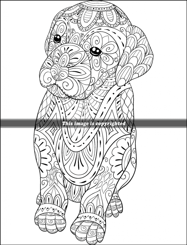 Animals In Mandalas Coloring Book: 14 Animal Coloring Book for Adults  (Paperback)