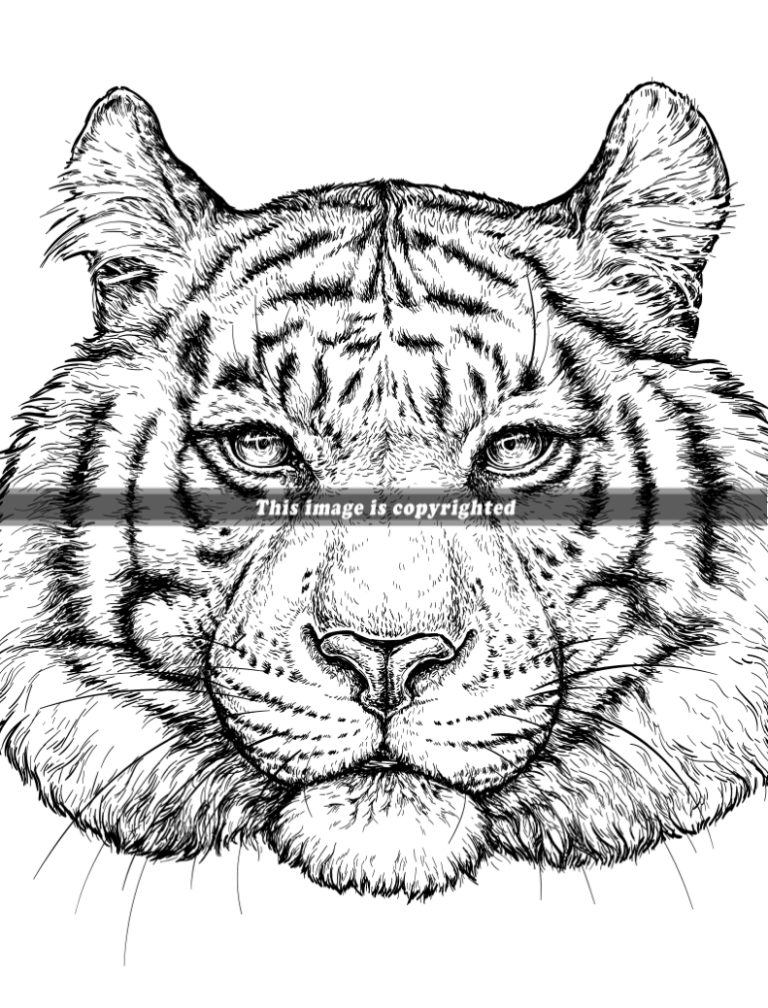 10 Realistic Animal Coloring Pages for Unleashing Your Inner Artist